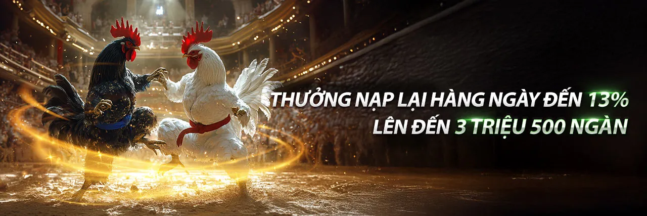Đá gà trực tiếp tại rg8369 - Sân chơi đẳng cấp số 1 Việt Nam